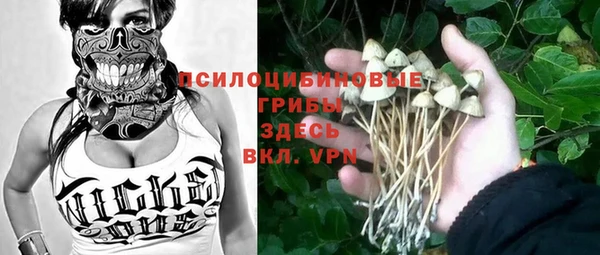 бутират Белокуриха