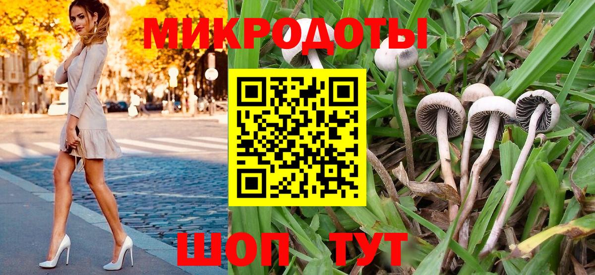 Гудермес  Галлюциногенные грибы Psilocybine cubensis  Вход с VPN 